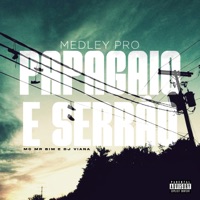 Medley pro Papagaio e Serrão - Single - MC Mr Bin & Dj Viana