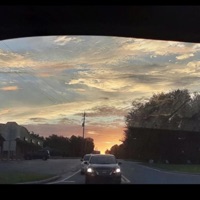 Fed Up - Single - Ceeroe