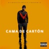 Cama de Cartón - Single