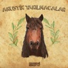 Akustik Takılmacalar album cover