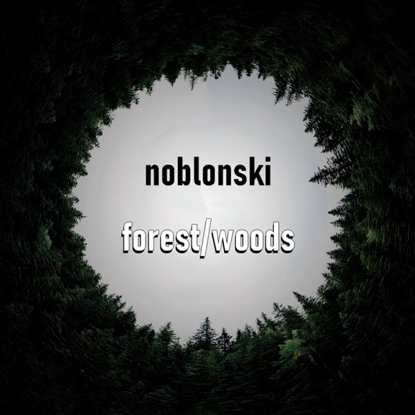Forest / Woods
