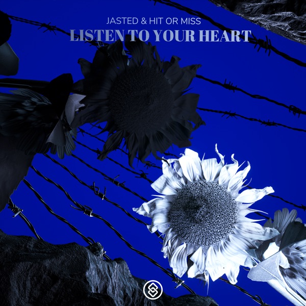 Listen to Your Heart - Single