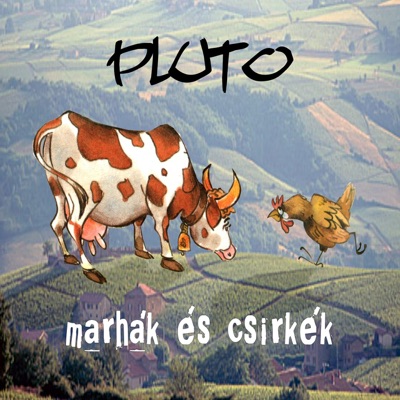 Marhák és csirkék