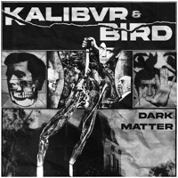 DARK MATTER (feat. Bird) - Single - Kalibvr