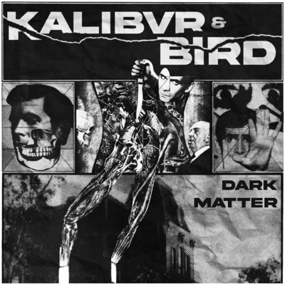 DARK MATTER (feat. Bird) - Single