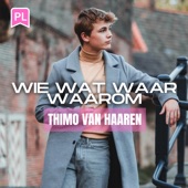 Wie Wat Waar Waarom artwork