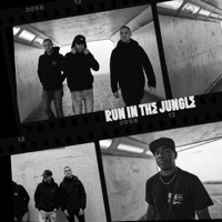 Run In the Jungle (Album Sampler 3) - Single - Run In The Jungle, D Minds & T>I