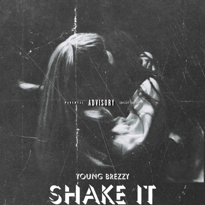 Shake It - Single