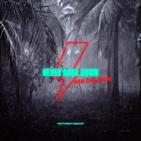 Never Back Down (feat. Dreamii) - Single - 608 Dawson