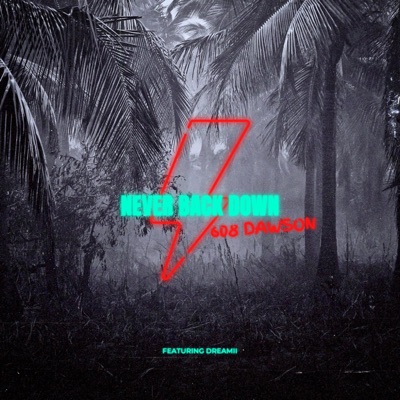 Never Back Down (feat. Dreamii) - Single