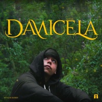 Damicela - Single - Ismaguss
