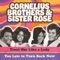 Treat Her Like a Lady (Rerecorded) - Cornelius Brothers & Sister Rose lyrics