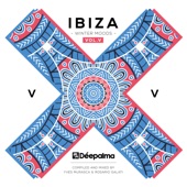 Déepalma Ibiza Winter Moods, Vol. 5 (DJ Mix) artwork