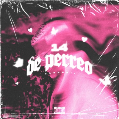 14 De Perreo - Single
