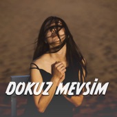 Dokuz Mevsim artwork