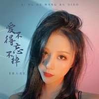 爱不得忘不掉 - Single - 张大美