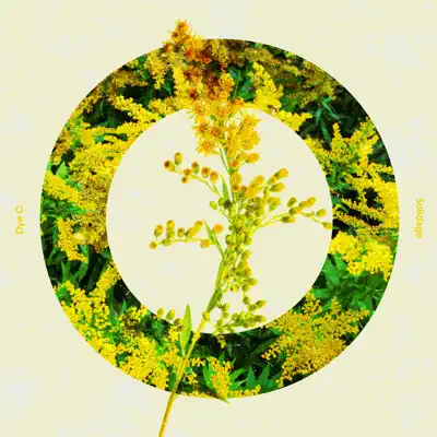 Posłuchaj utworu Solidago - Single wykonywanego przez Dye O.