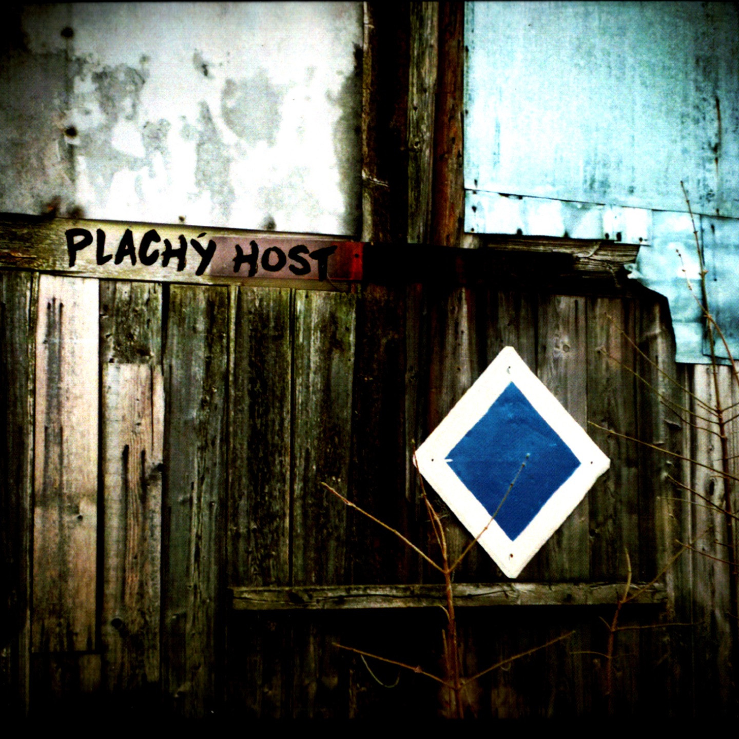 Plachý host