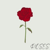 Roses - Single - Range
