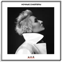 ЦОЙ — НОЧНЫЕ СНАЙПЕРЫ