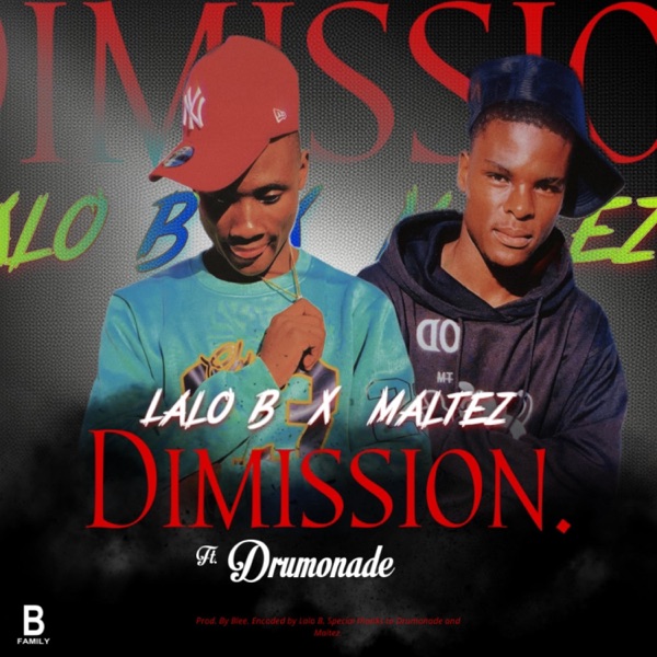 Dimission (feat. Maltez & Drumonade)