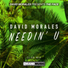 Needin' U (Club Mix) - David Morales & The Face