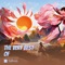 Go Viral - Sallinas lyrics