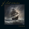 Thorn - Single