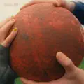 COOL!?!