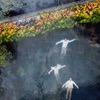 Yoann Bourgeois Cadence for the Video by Yoann Bourgeois (On Adagio from Ravel's Concerto in G, M. 83) Cadence for the Video by Yoann Bourgeois (On Adagio from Ravel's Concerto in G, M. 83) - Single
