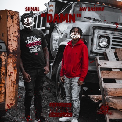 Damn (feat. Sh!cal) - Single