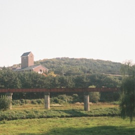 like a fallen tree on the way Budung