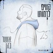 קווים לדמותו artwork