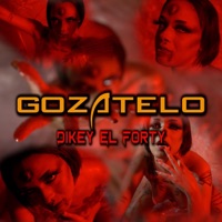 Gozatelo - Single - Dikey El Forty