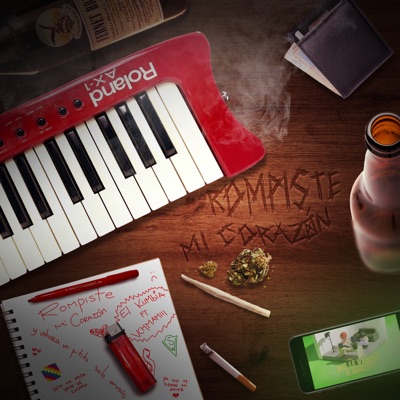 Rompiste Mi Corazón (feat. VCHMAMIII) - Single