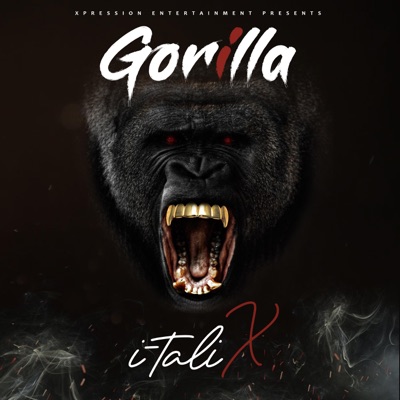 Gorilla - Single