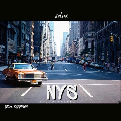 New York Shit (feat. Bigal Harrison) - Single