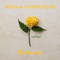 Ladybug (Piano Version) - Single - Slumberville & William Ogmundson