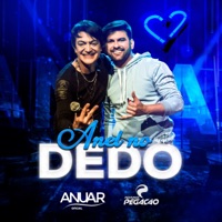 Anel No Dedo (feat. Pedrinho Pegação) - Single - Anuar Oficial