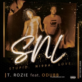 S.N.L (feat. ODUBB) [Radio Edit] T.Rozie