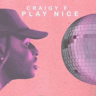 Play Nice - Single