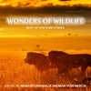 Wonders of Wildlife - Best of Documentaries - Martin Lingnau & Ingmar Süberkrüb