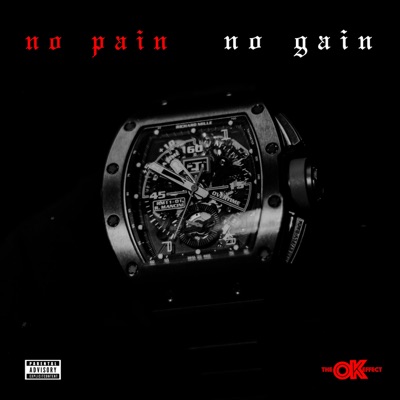No Pain No Gain - Single