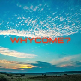Whycome? Wiser Observer