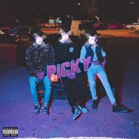 PICKY - Single - LIL VNZ & Xandrovv