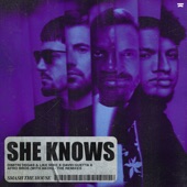 She Knows (feat. Akon) [The Remixes] artwork