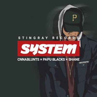 System (feat. PAPU BLACKZ, Shane & Cnnabluntz) - Single