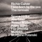 Love Like an Abscess (Aho Ssan Remix) - Richie Culver lyrics