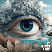 It Goes Like - Single - Bonkr