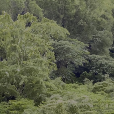 Smokeintheair - Single